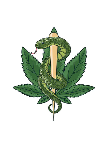 Cannabis