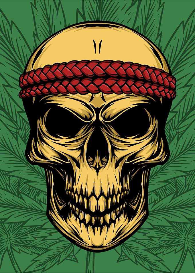 Cannabis