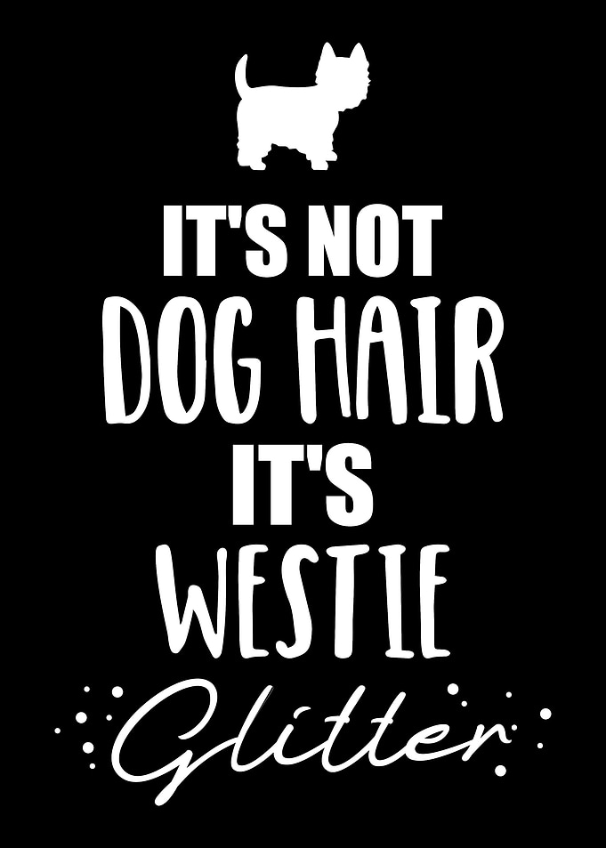 Westie