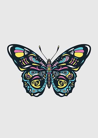 Colorful Mandala Butterfly