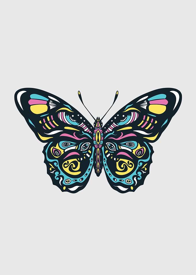 Colorful Mandala Butterfly