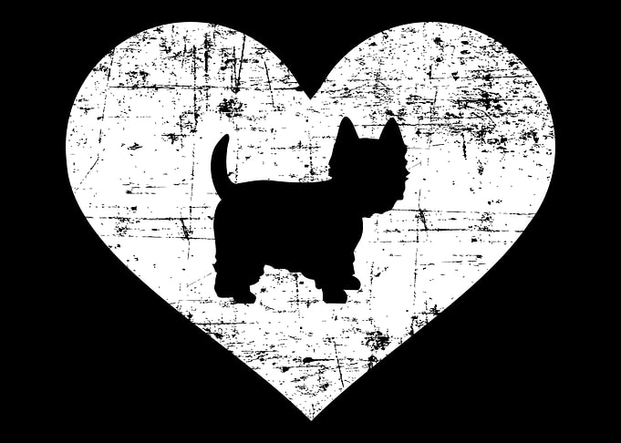 Westie