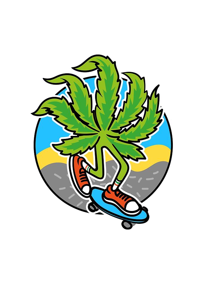 Cannabis
