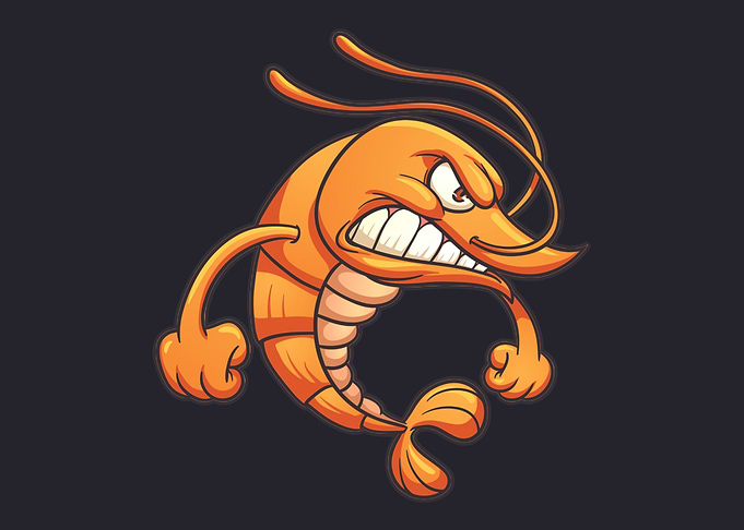 shrimp