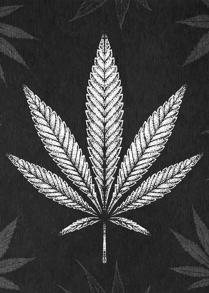 Cannabis