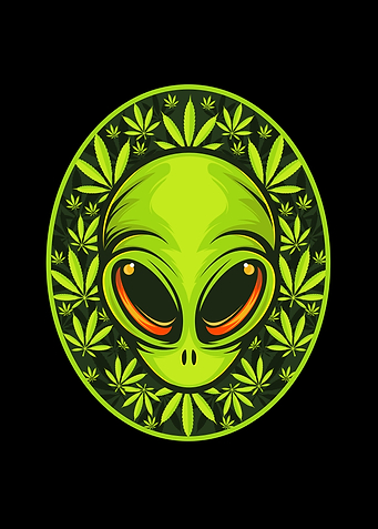 Cannabis