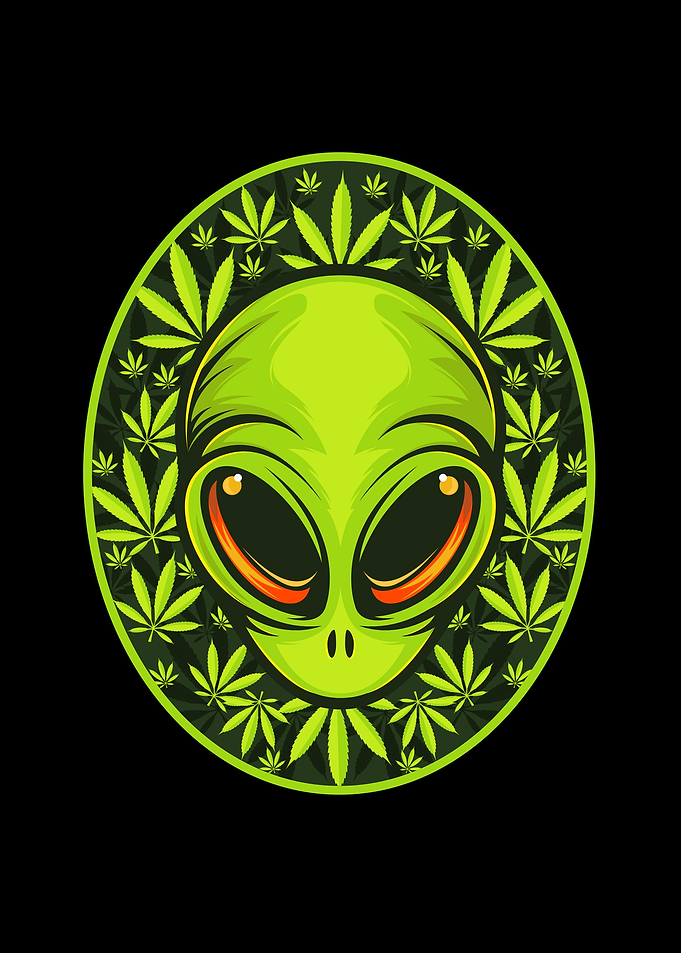Cannabis