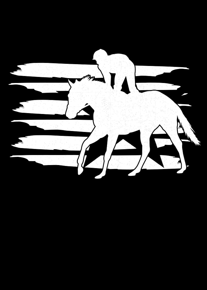 Horse Race