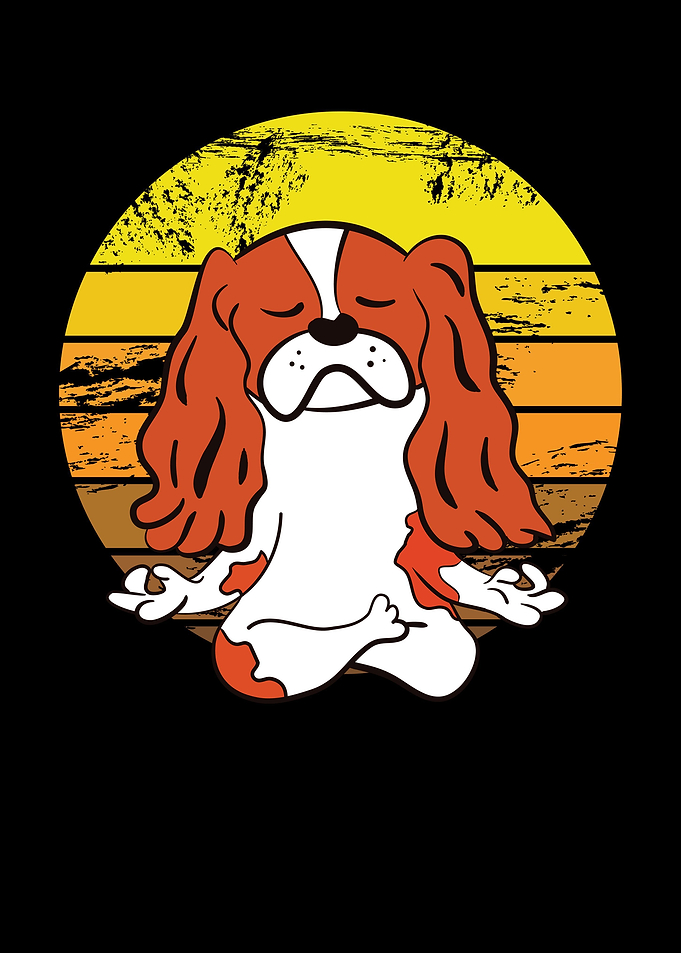 Cavalier King Charles