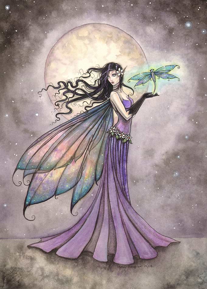 Night Dragonfly