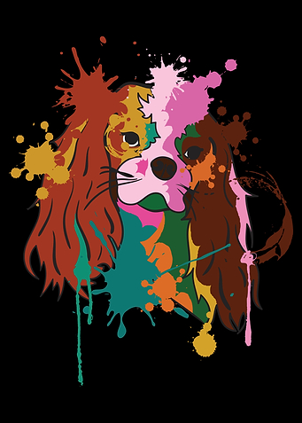 Cavalier King Charles