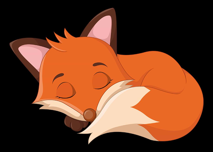 Fox Foxes Sleep Sleeping W