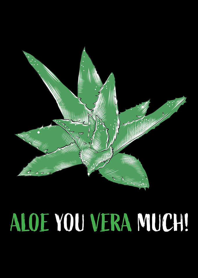 Aloe Vera Garden Plant Flo