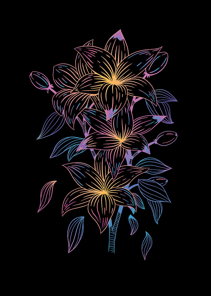 COLORFUL LILIES FLOWER