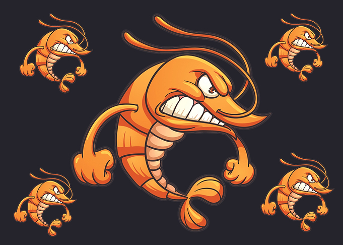 shrimp