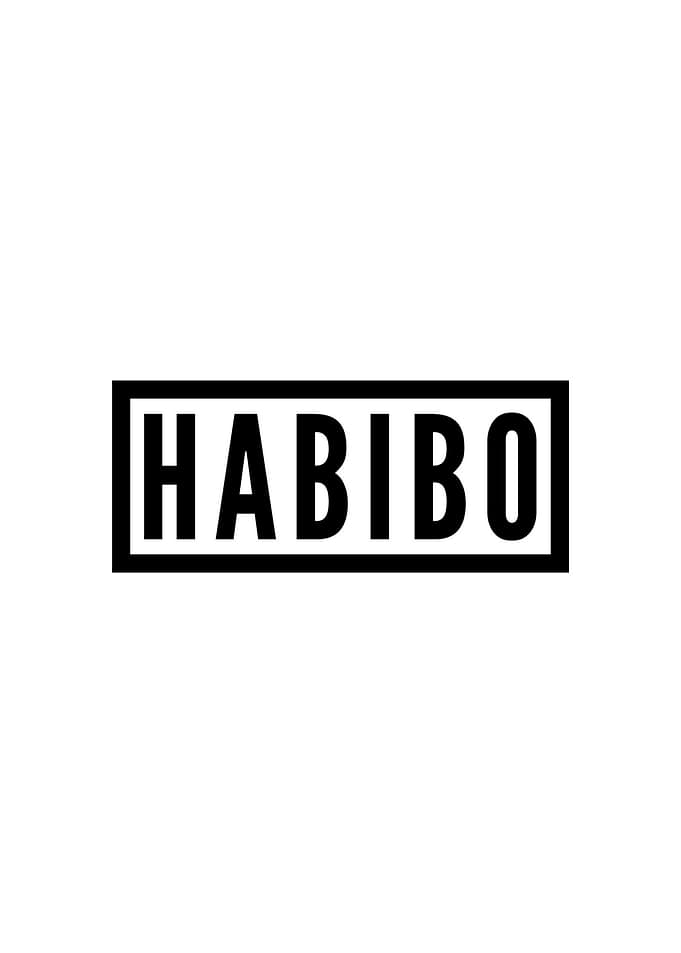 Habibo Arabic Gift Idea