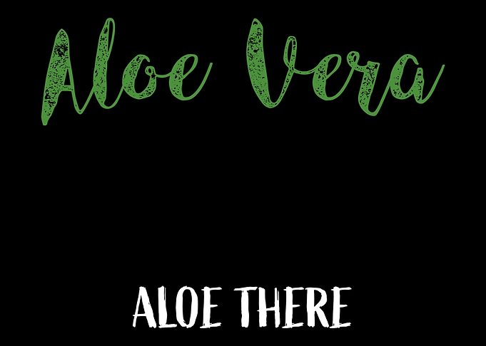 Aloe Vera Garden Plant Flo