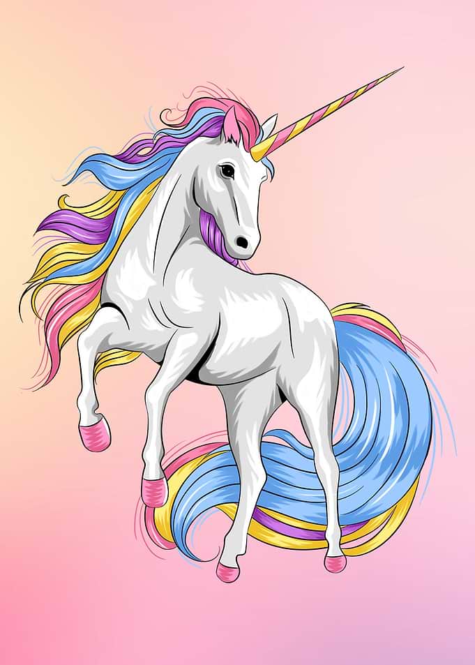 Uniorn Horse Animal