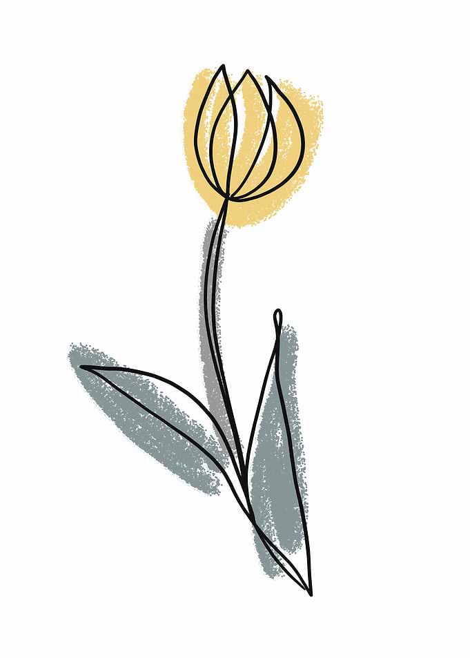 Tulip