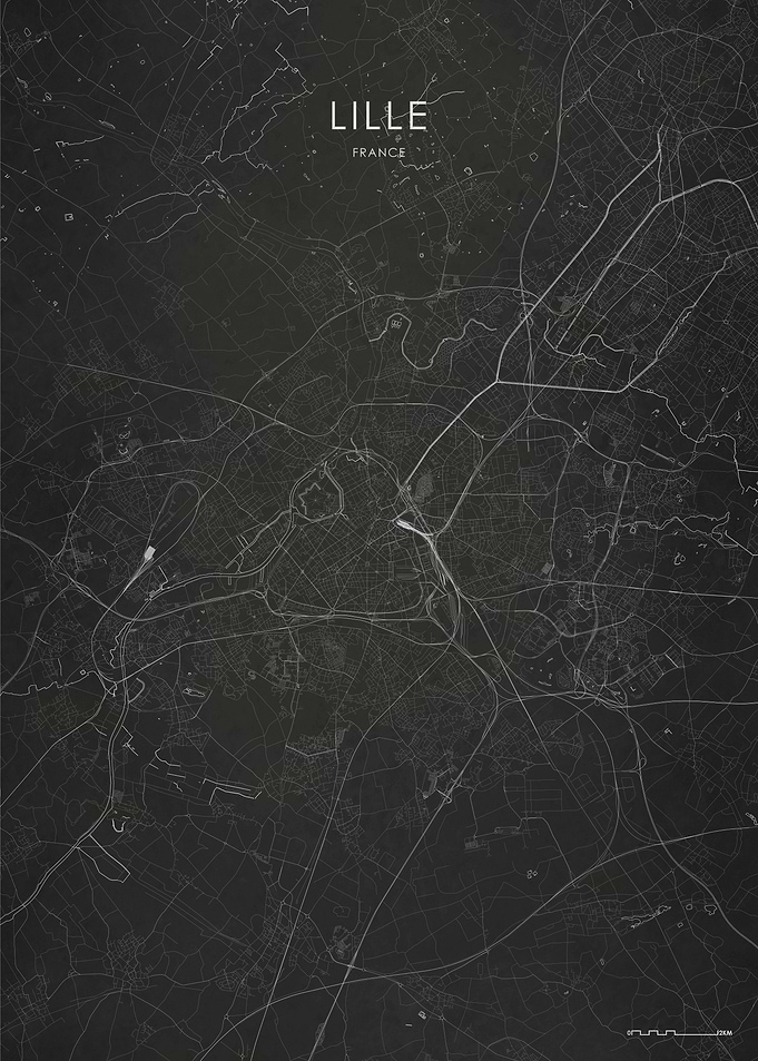 Silver Lille City Map