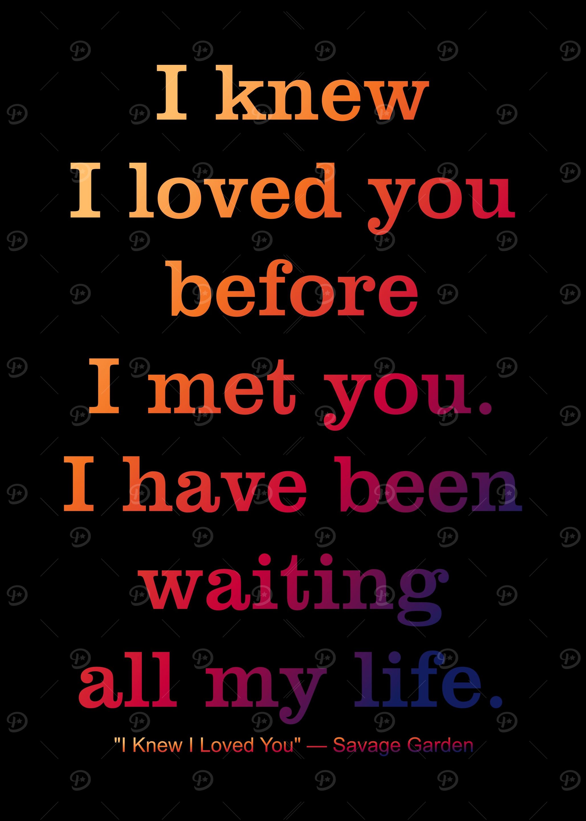I knew I loved you before