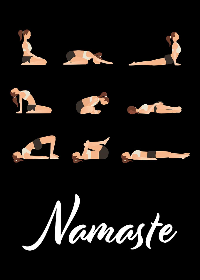 Yoga Joga Namaste Cat Dog