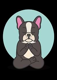 Yoga Joga Namaste Cat Dog