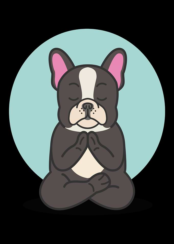 Yoga Joga Namaste Cat Dog