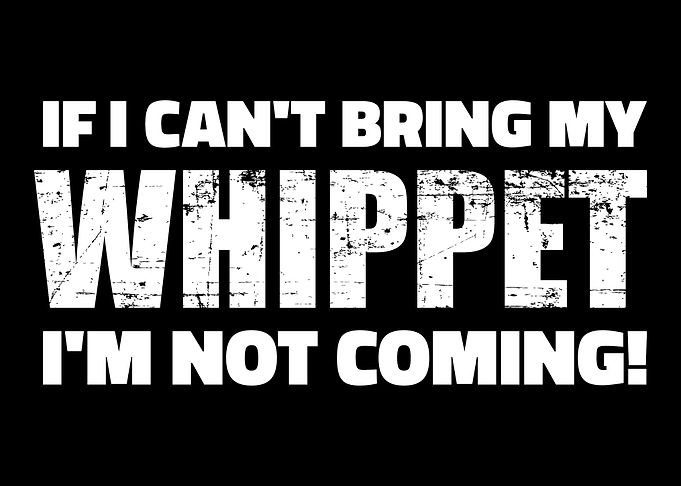 Whippet