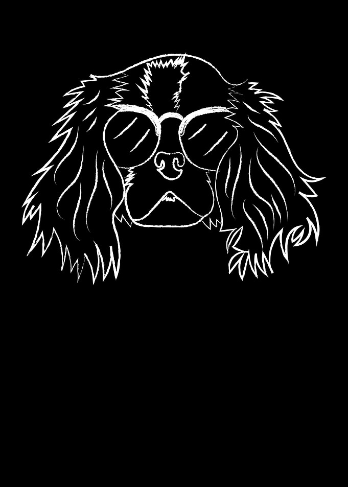 Funny Cavalier King