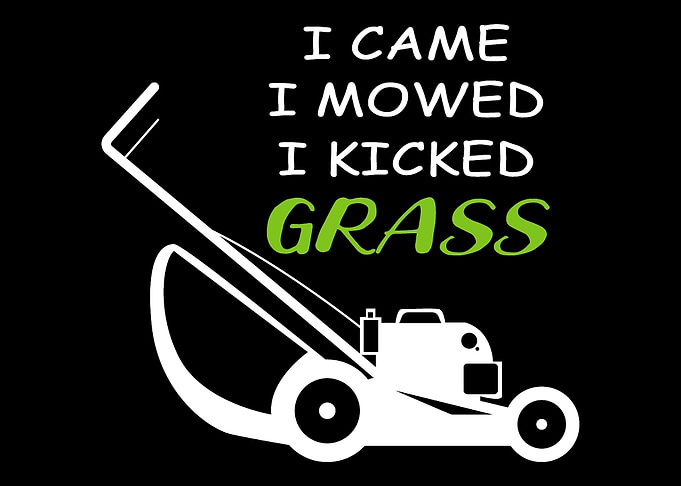 Came Moved Kicked Grass Ar