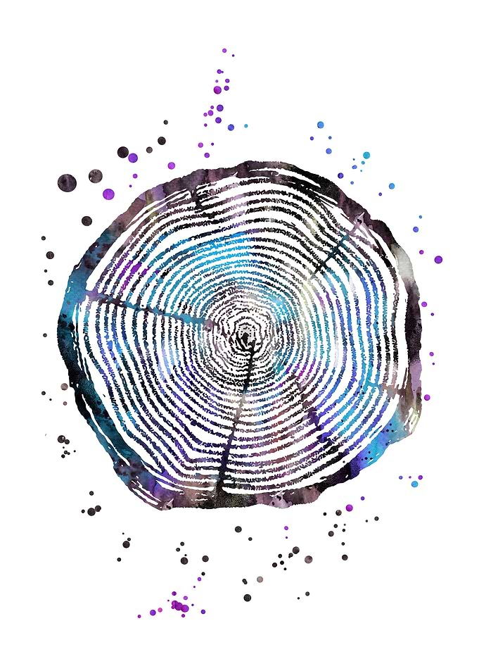 Oak tree rings