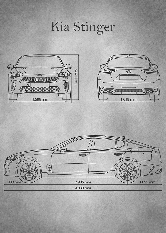 Kia Stinger 2019 gray old