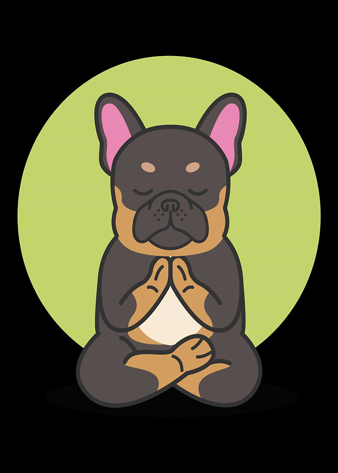Yoga Joga Namaste Cat Dog