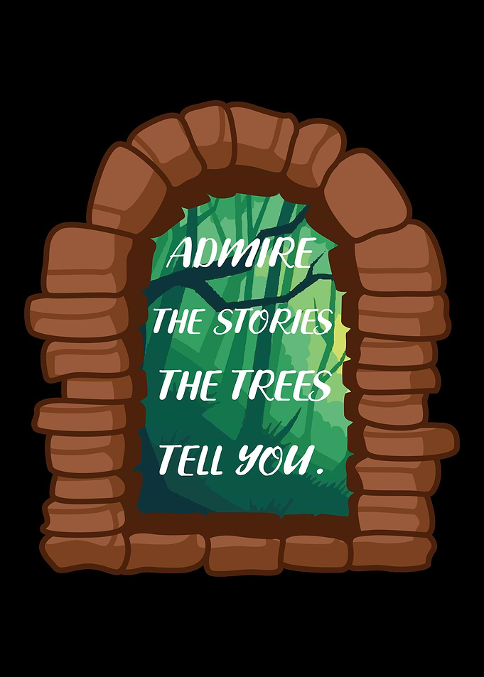 Admire Trees Nature Person