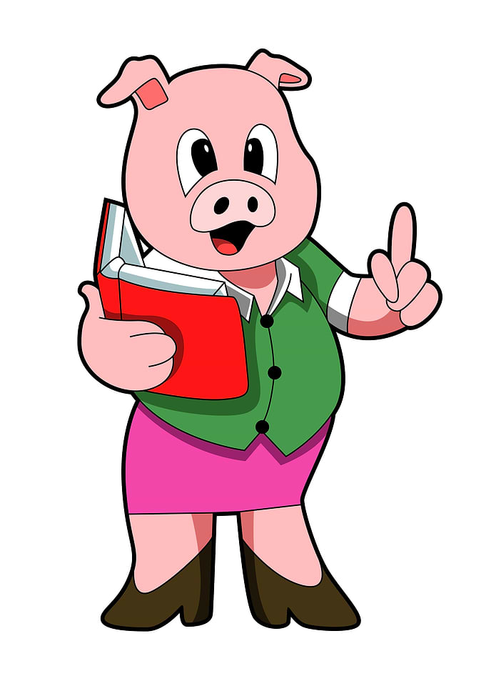 Pig Teacher Book