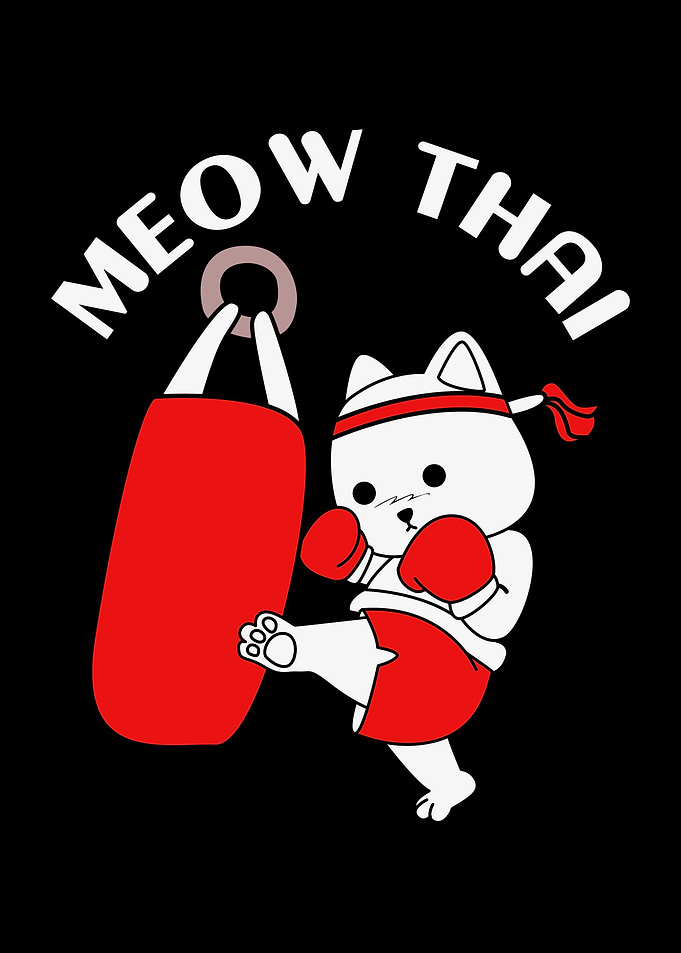 Muay Thai Meow Thai