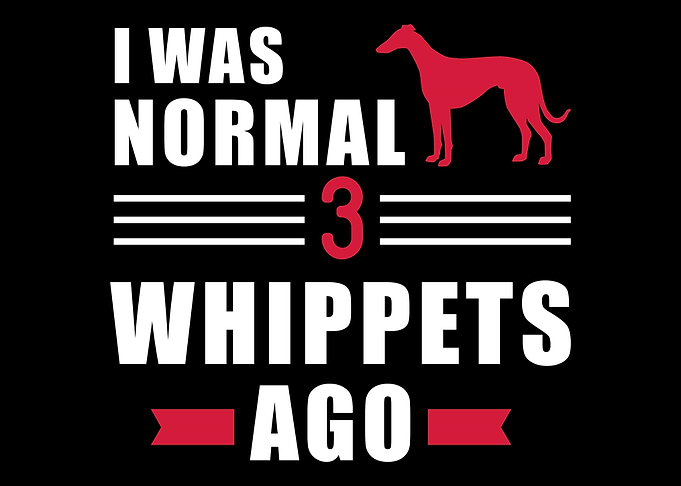 Whippet