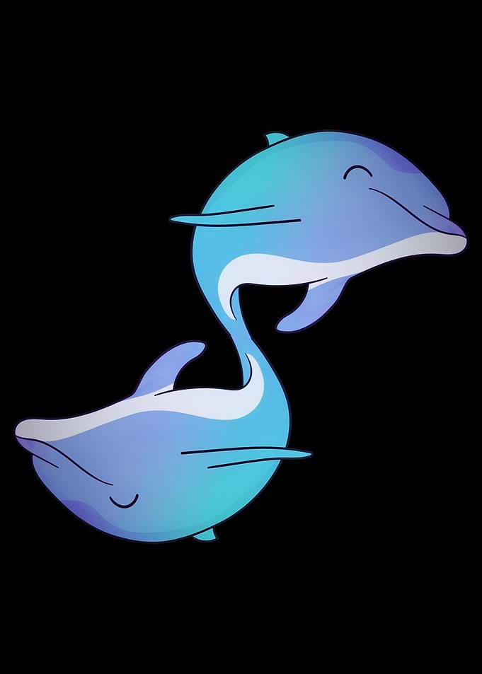 Beautiful dolphin animal
