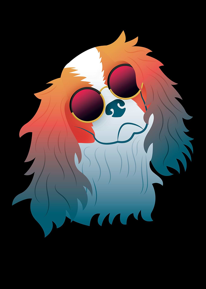Cavalier King Charles