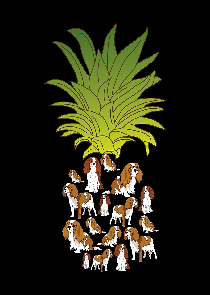 Cavalier King Charles