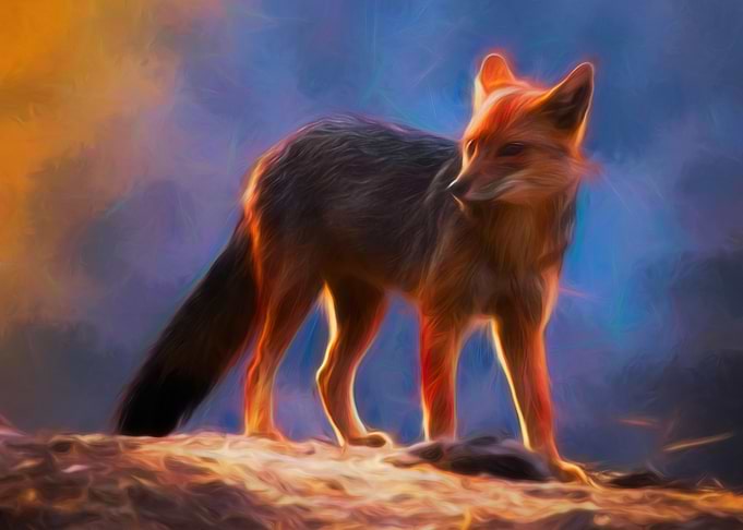 FireFox