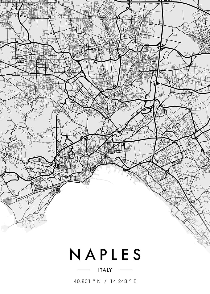 Naples City Map White