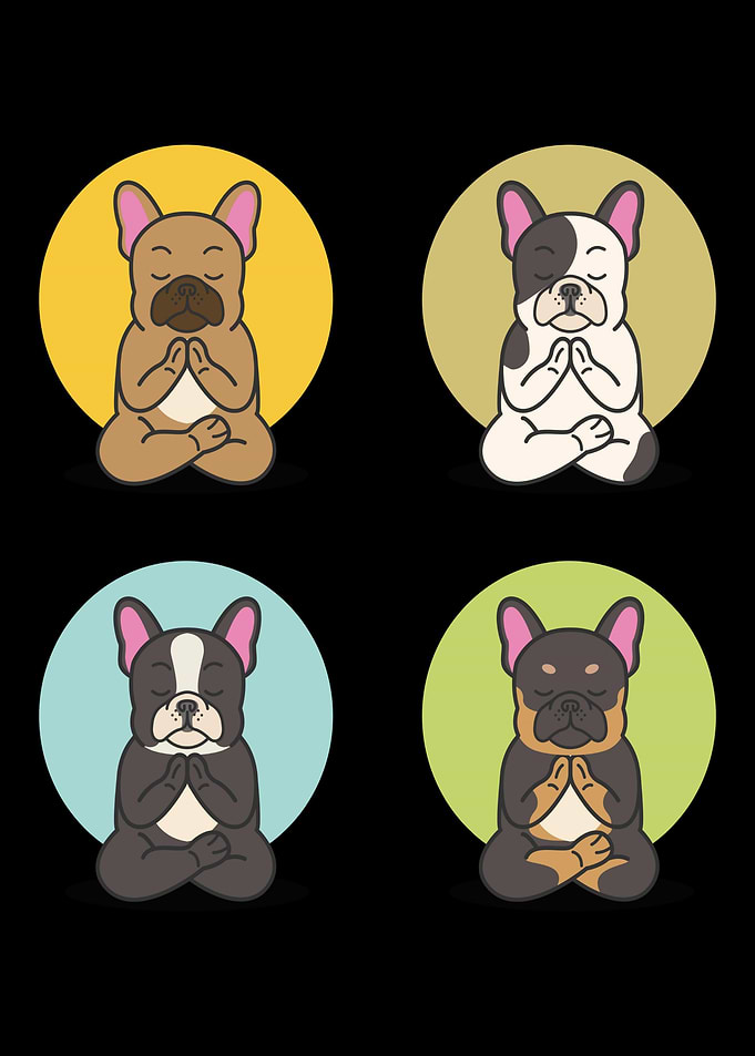 Yoga Joga Namaste Cat Dog