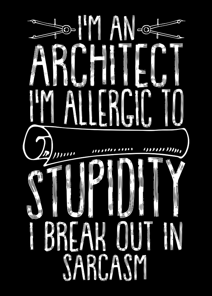 Architect Architecture Fun