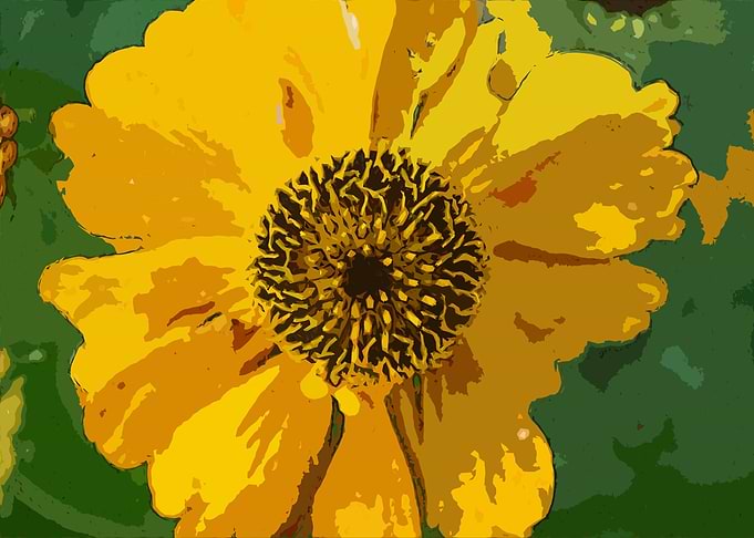 Pollination