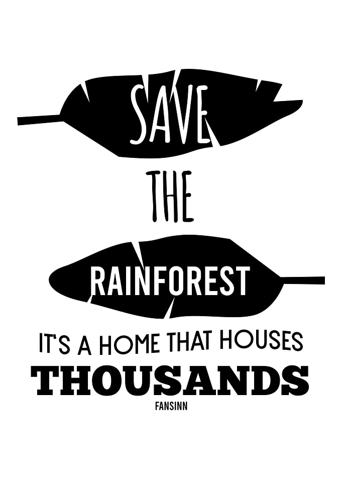 rainforest