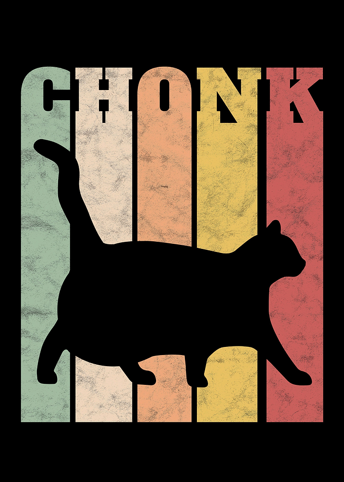 Chonk Scale Cat Meme Memes
