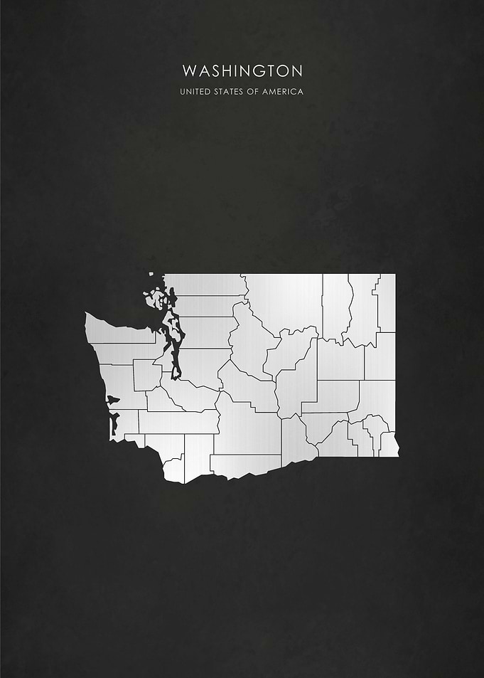 Silver Washington Map