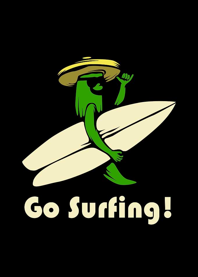 Go Surfing